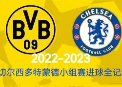 本菲卡vs费内巴切比赛分析 本菲卡vs费内巴切比赛分析